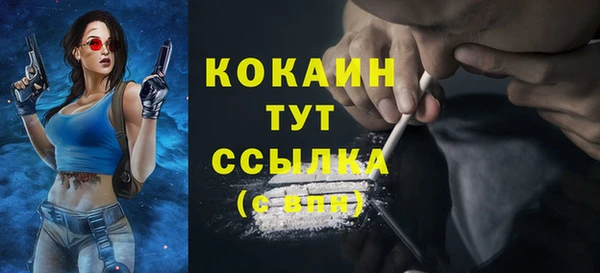 МДПВ Карпинск
